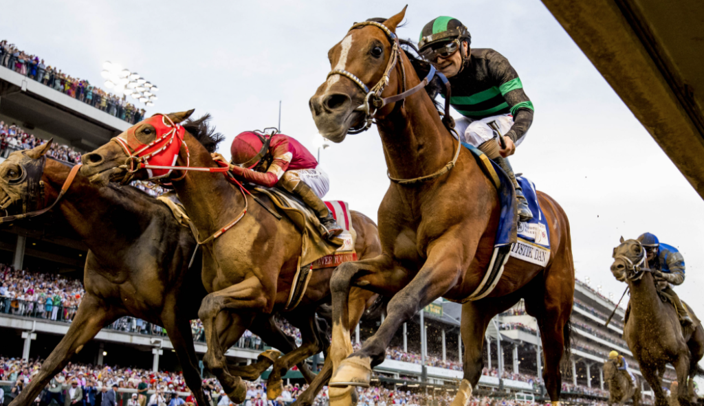 foulon turf || foulonturf